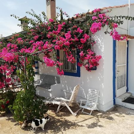 Finca La Joya Torreblanca Bagian luar foto