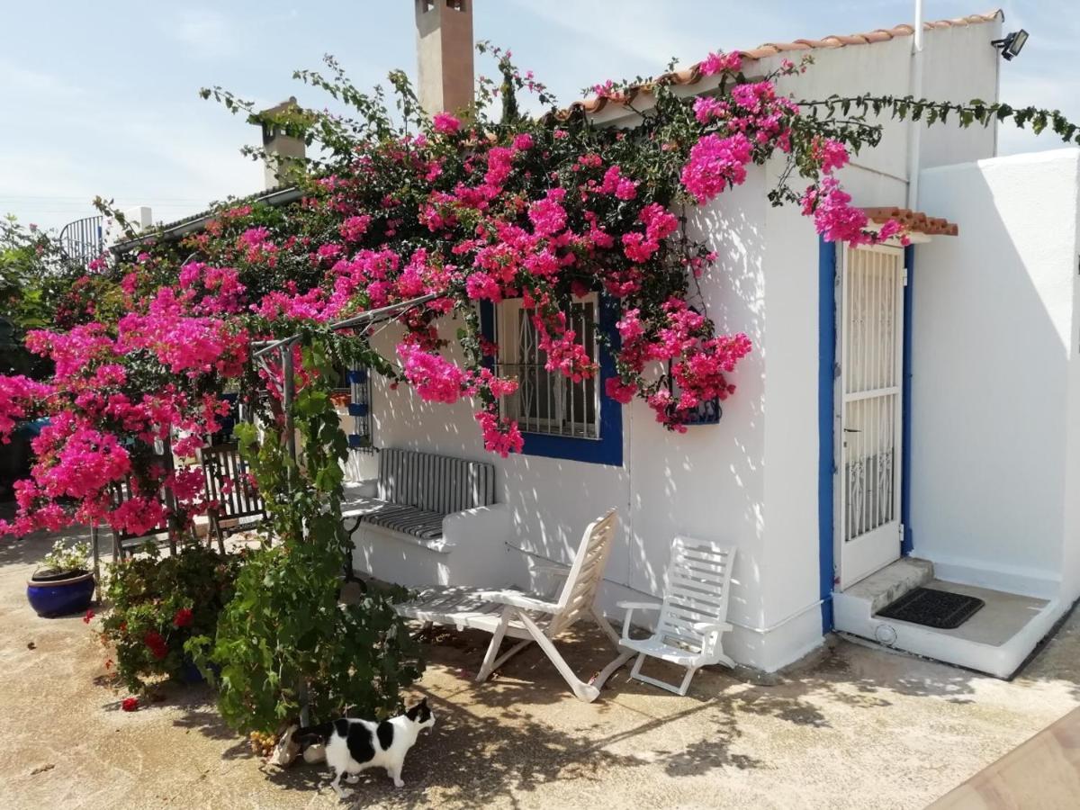 Finca La Joya Torreblanca Bagian luar foto