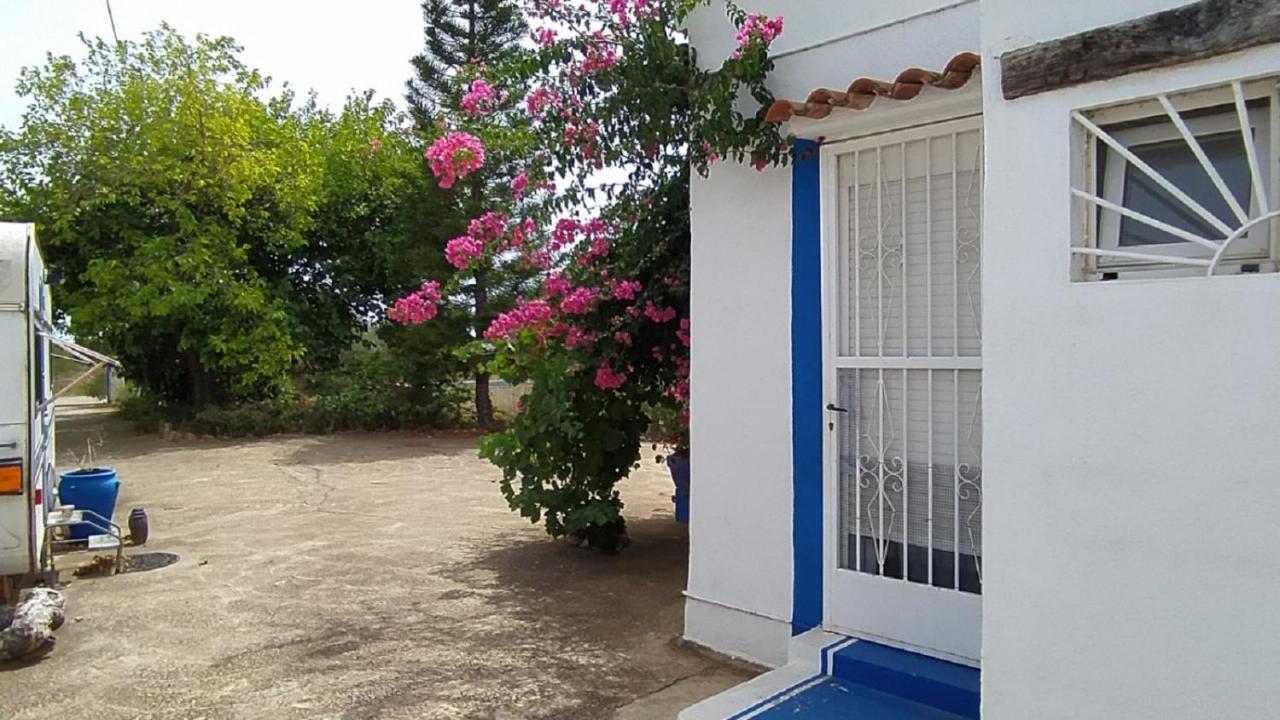 Finca La Joya Torreblanca Bagian luar foto