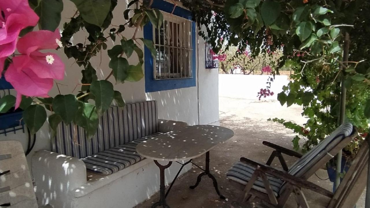 Finca La Joya Torreblanca Bagian luar foto