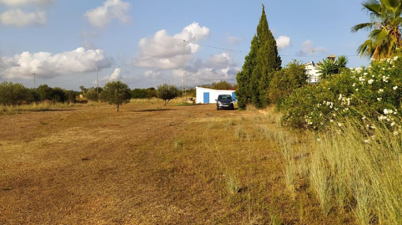 Finca La Joya Torreblanca Bagian luar foto