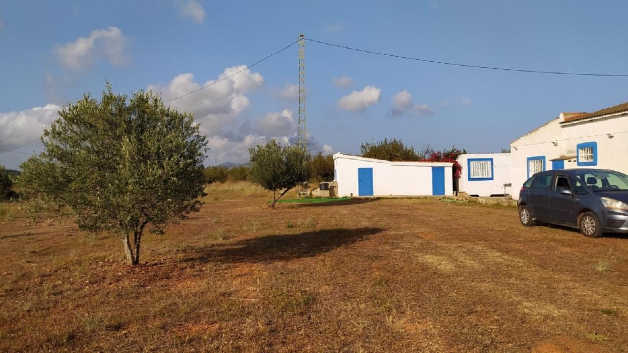 Finca La Joya Torreblanca Bagian luar foto